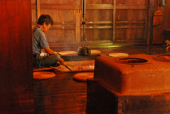 Muza chan's Japan Photo Gallery